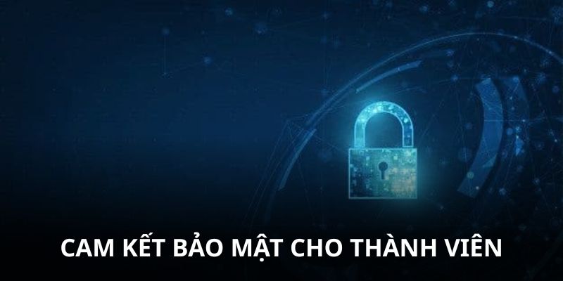 Điều khoản bảo mật tại Tin88 cam kết quyền lợi các bên